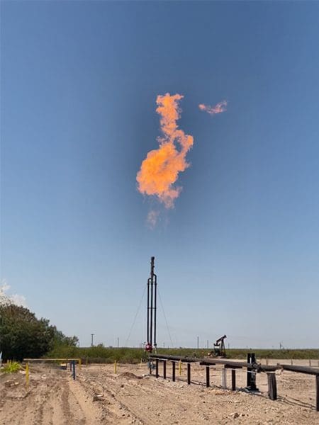 4 series dual cactus 2