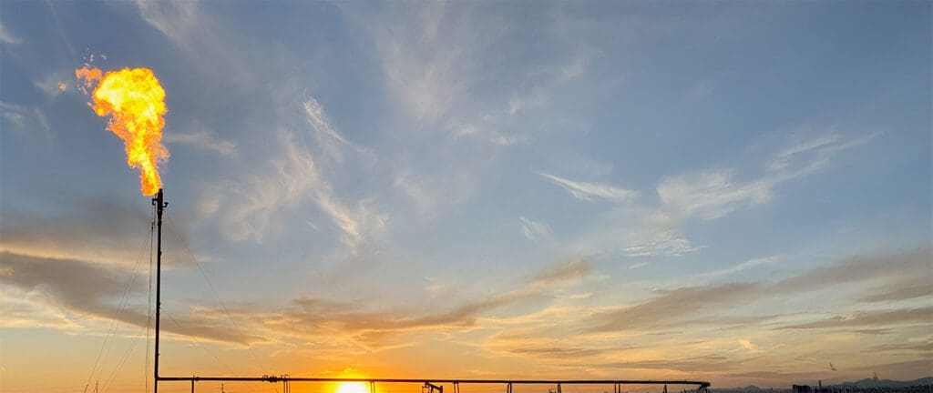 DBI Cactus Gas Flare - smokeless for a greener future