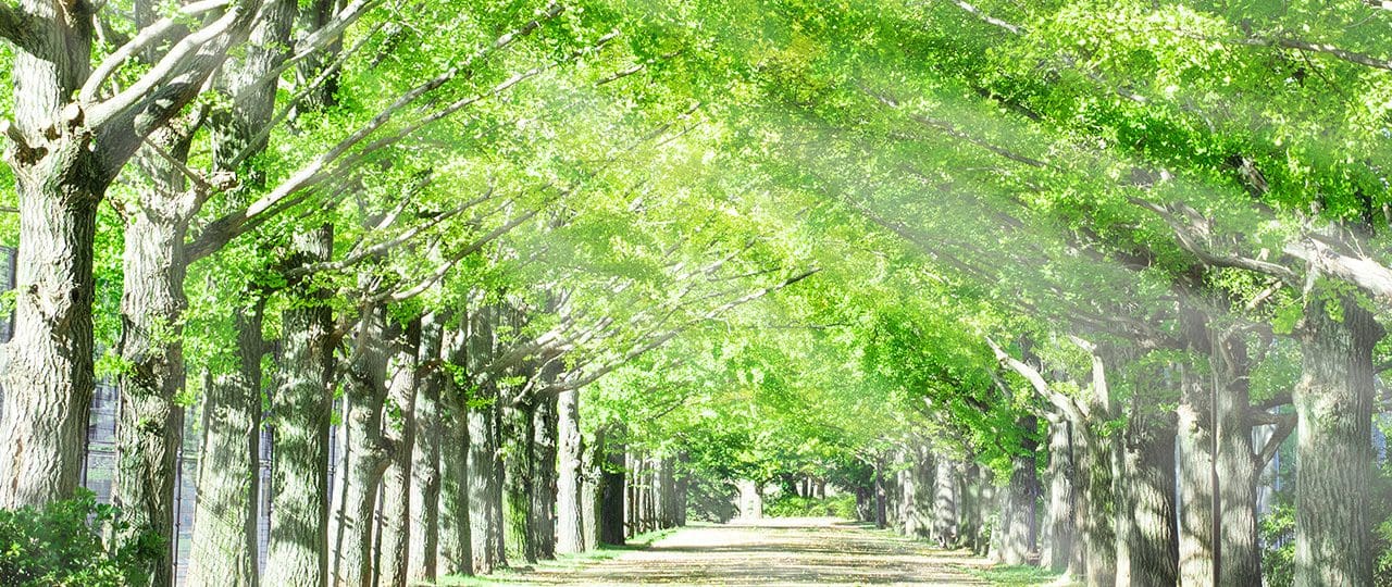 Featured image for “Smokeless Gas Flares: A Greener Future with D.B.I.”